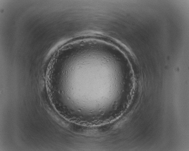 X0000081391363200701111507