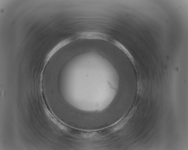 X0000081391386200701111506