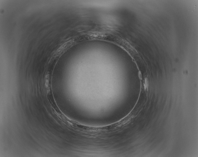 X0000081391396200701111506