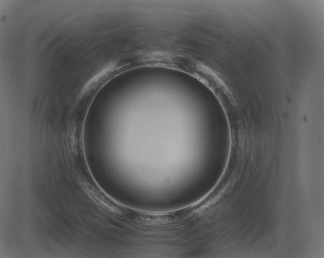 X0000081391403200701111506