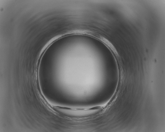 X0000081391436200701111506