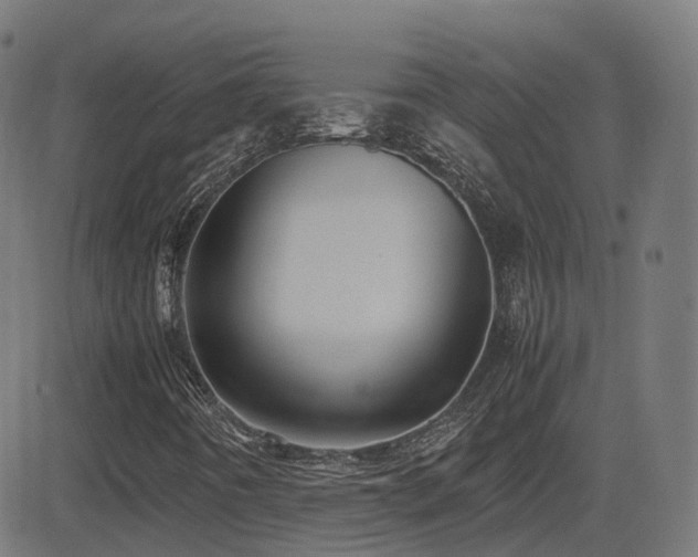 X0000081391442200701111505