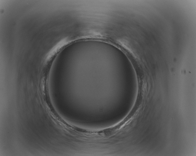 X0000081391455200701111505