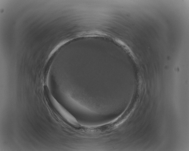X0000081391457200701111505