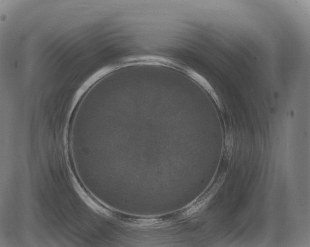 X0000081391482200701111505