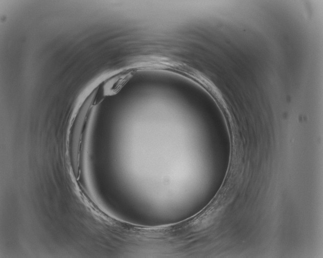 X0000081391488200701111505