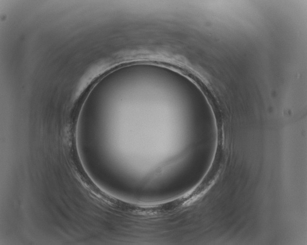 X0000081391501200701111504