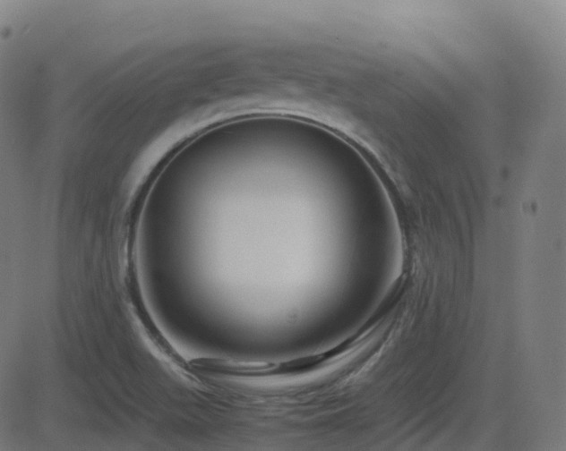 X0000081391511200701111504