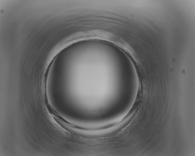 X0000081391516200701111504