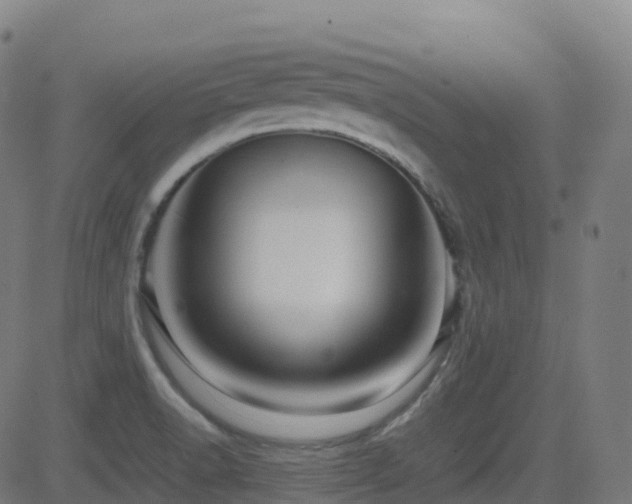 X0000081391518200701111504