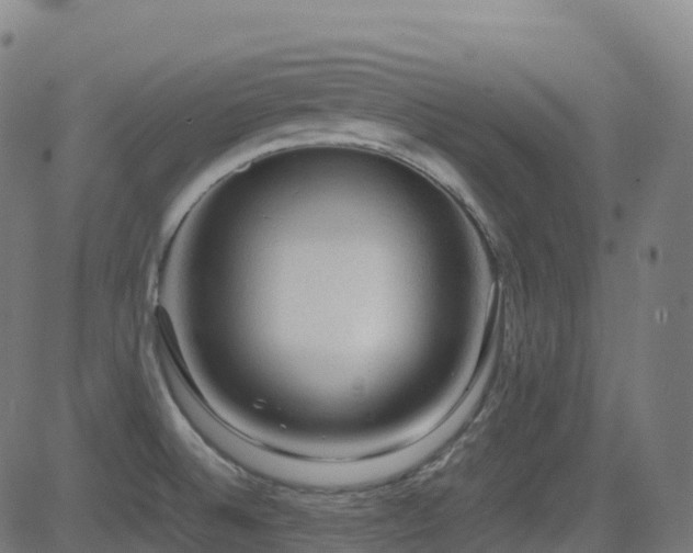 X0000081391524200701111504
