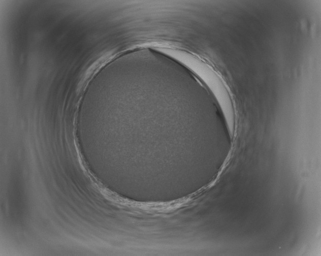 X0000081390001200701182244