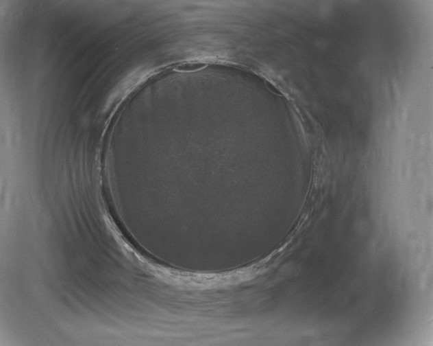 X0000081390002200701182244