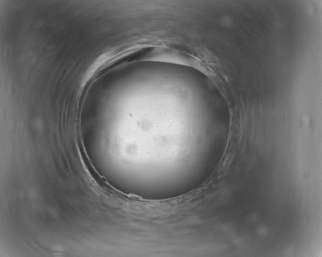 X0000081390003200701182244