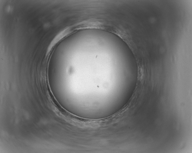 X0000081390004200701182244