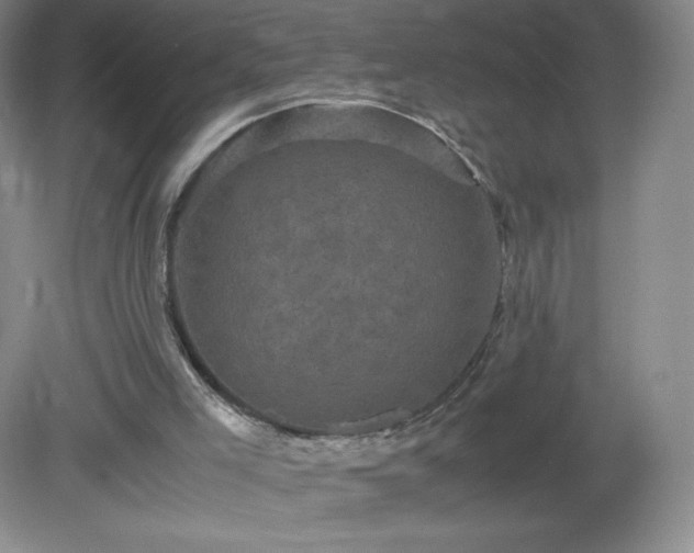 X0000081390005200701182244