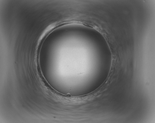 X0000081390006200701182244