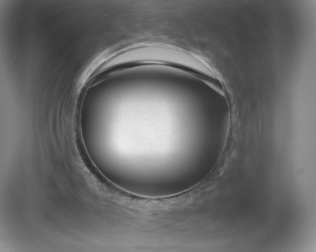 X0000081390007200701182244