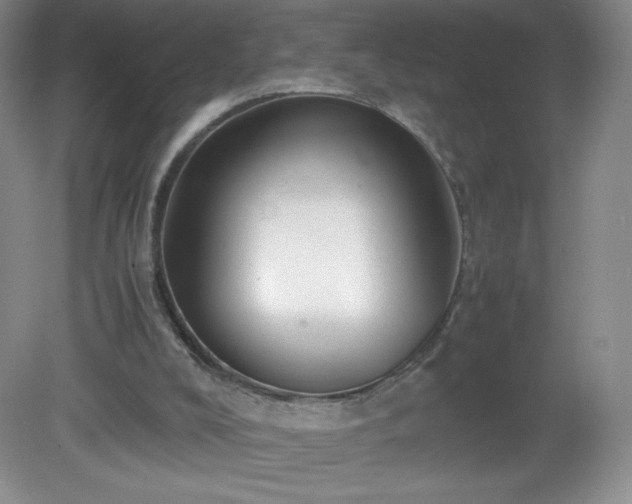 X0000081390008200701182244