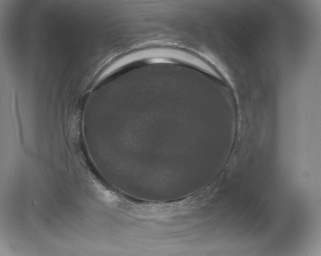 X0000081390009200701182244