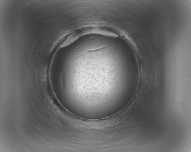 X0000081390010200701182244