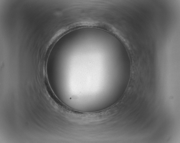 X0000081390011200701182244