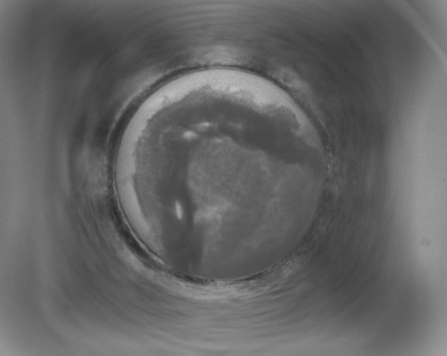 X0000081390012200701182244