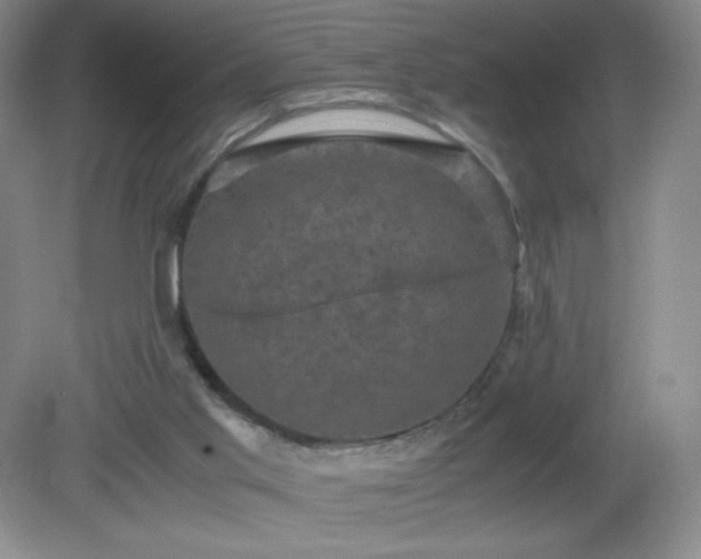 X0000081390013200701182244