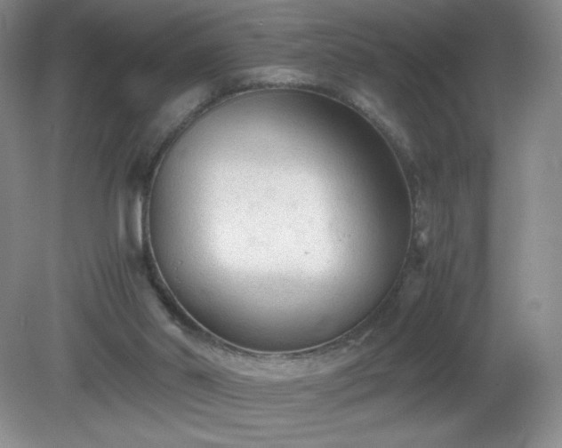 X0000081390014200701182244