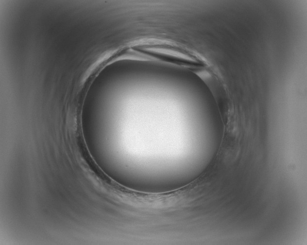 X0000081390015200701182244