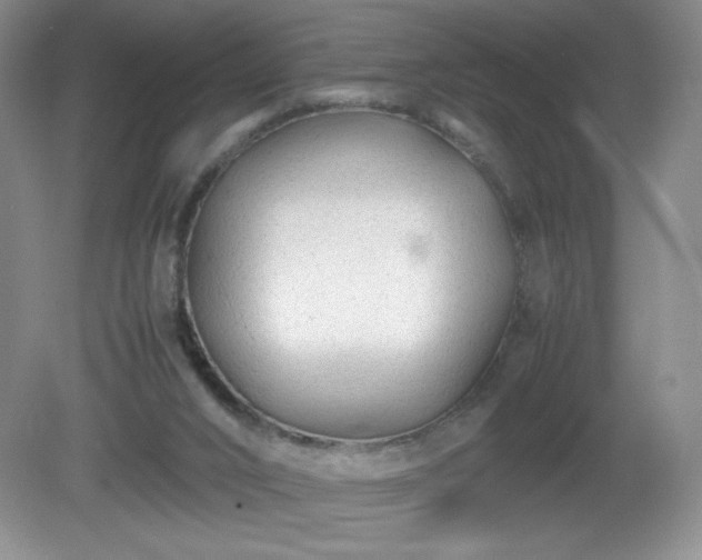 X0000081390016200701182244