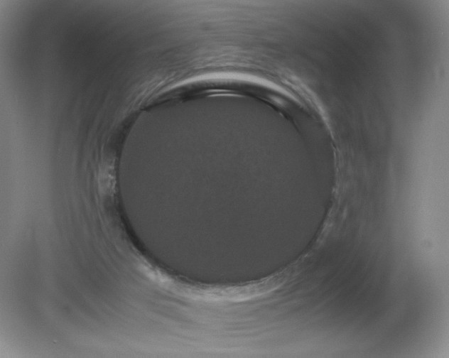 X0000081390017200701182244