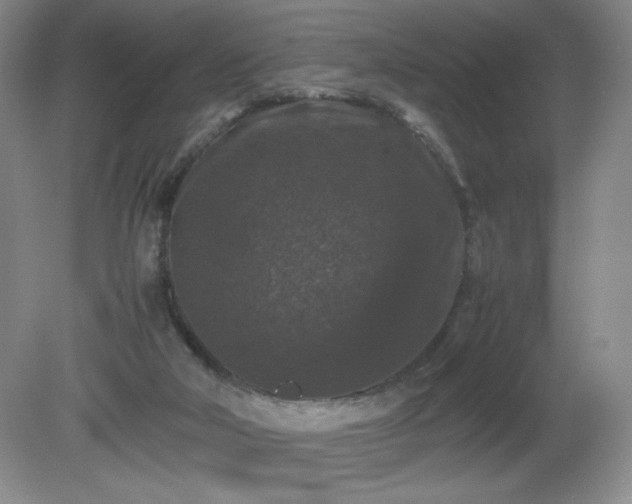 X0000081390018200701182244