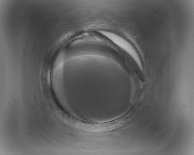 X0000081390019200701182244