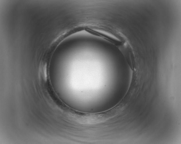 X0000081390020200701182244