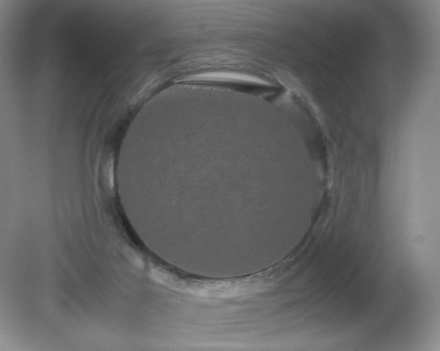 X0000081390021200701182244