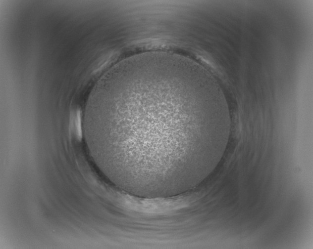 X0000081390022200701182244