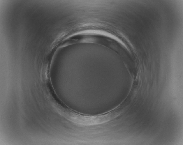 X0000081390023200701182244