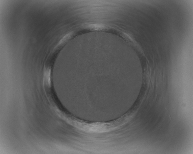 X0000081390024200701182244