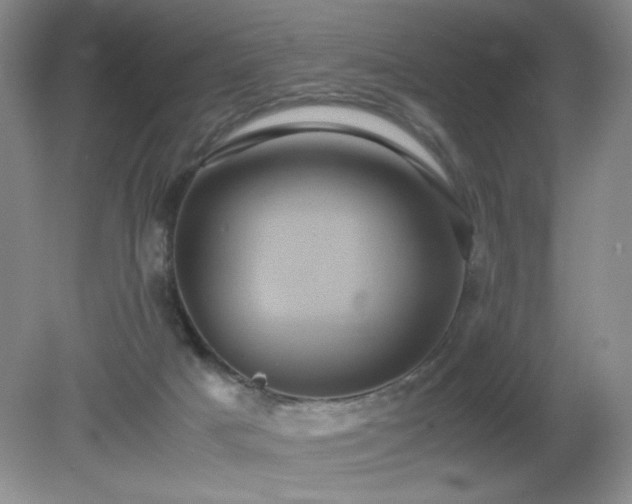 X0000081390025200701182244