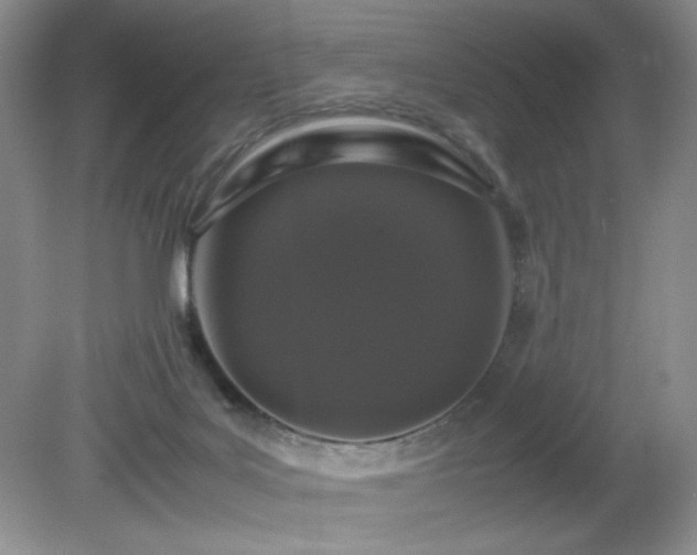 X0000081390027200701182244