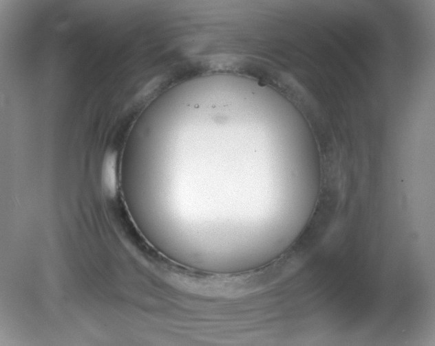 X0000081390028200701182244