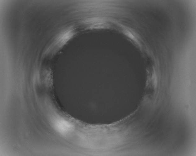 X0000081390029200701182244