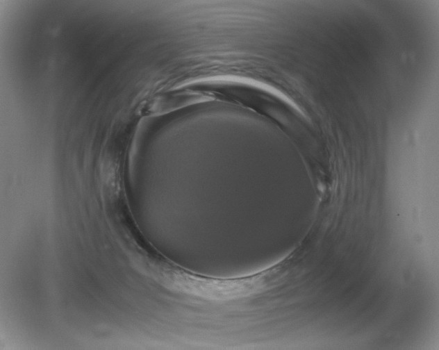 X0000081390031200701182244