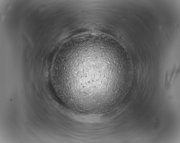 X0000081390032200701182244