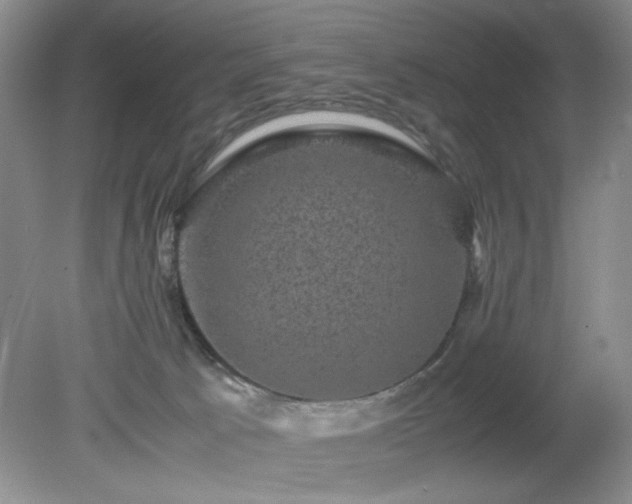 X0000081390033200701182244