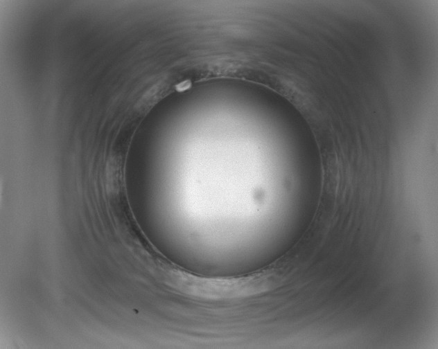 X0000081390034200701182244