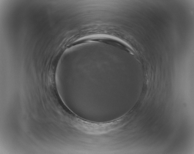 X0000081390035200701182244