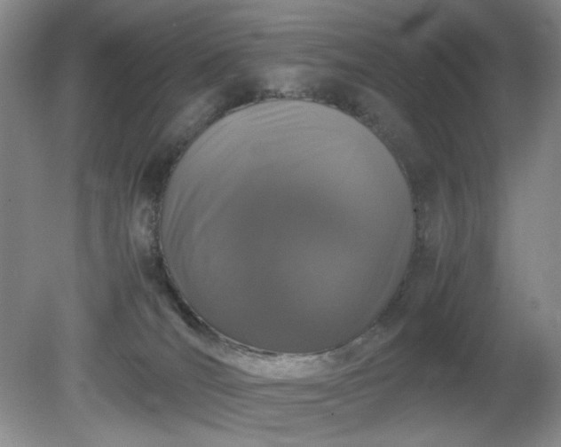 X0000081390036200701182244