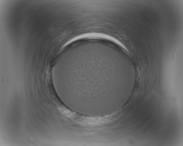 X0000081390037200701182244